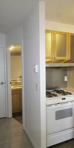 Sun Drenched Renovated Studio Downtown -Insuite Laundry - Photo 4