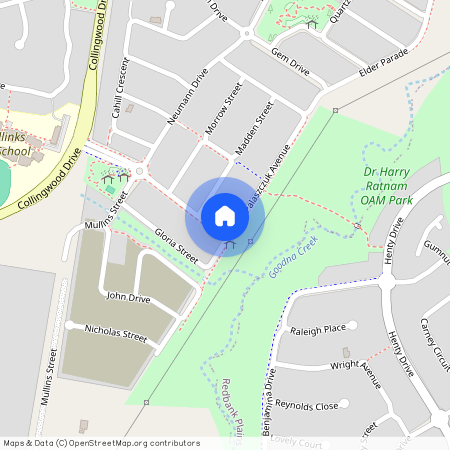 42 Palaszczuk Avenue, Collingwood Park QLD 4301