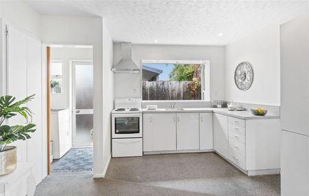 3/33 Wrights Road, Addington, NZ 8041 - Photo 2