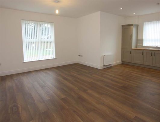 3 Eaton Park, Derriaghy, Belfast, BT17 9HN - Photo 1