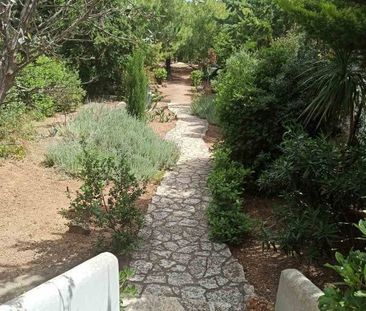 Μονοκατοικία για ενοικίαση Βραυρώνα (Μαρκόπουλο) - Photo 6