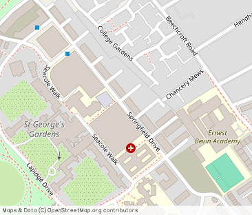 Springfield Drive, Tooting - Photo 1