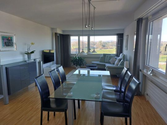 21/2 ROOM APARTMENT IN GOLDACH (SG), FURNISHED, TEMPORARY - Foto 1
