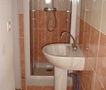 Location Appartement 1 pièce 17m² - Photo 3