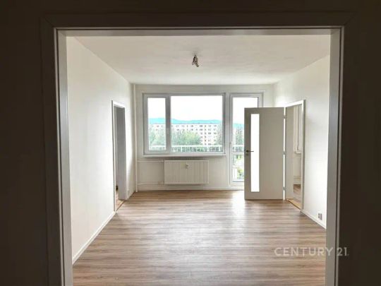 Pronájem bytu 3+1/L, sklep, po rekonstrukci - Fotografie 1