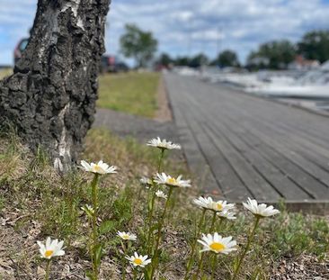 Ekbackevägen, Oskarshamn - Foto 4