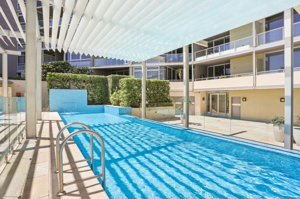 35 Shelley Street, Sydney NSW 2000 - Apartment For Rent | Domain - Photo 1