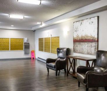 Gorge Apartments — 1 Bedroom available at 215-221,155,157 & 243 Gor... - Photo 4