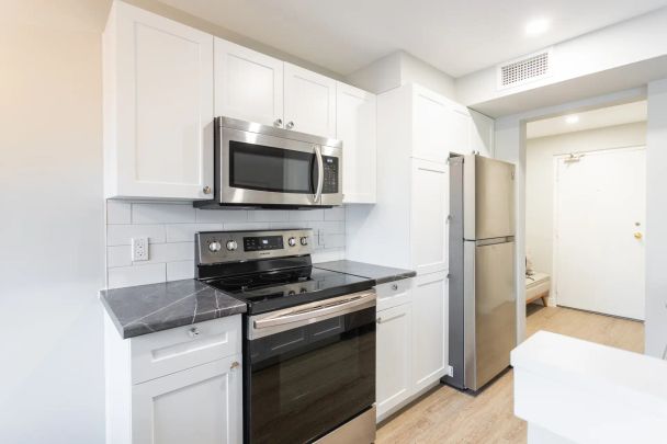 1C Renovated - Photo 1