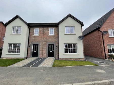 13 Drumford Close, Portadown, Craigavon, BT63 5RQ - Photo 4
