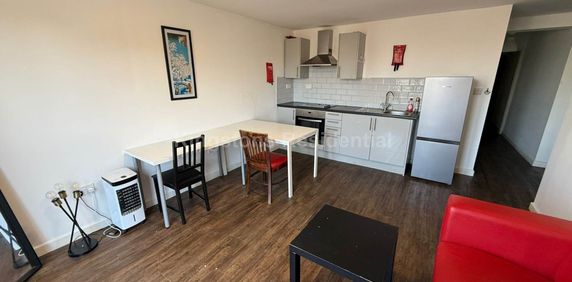 Cathays, Miskin Street, Cathays, CF24 4AP, Miskin Street, Cathays, CF24 4AP - Photo 2