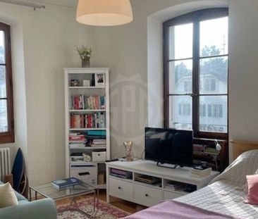 Chaleureux Appartement - Carouge - Foto 2