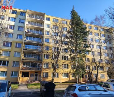 Pronájem bytu 1+kk v osobním vlastnictví 27 m², Praha 9 - Střížkov - Photo 4