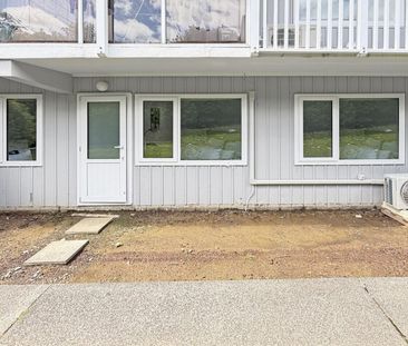 Newly Renovated Garden Apartment - Photo 5