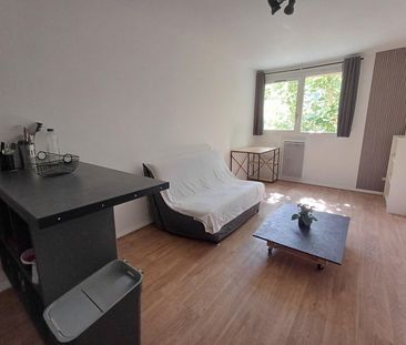 location Appartement T1 DE 21.71m² À TOULOUSE - Photo 6