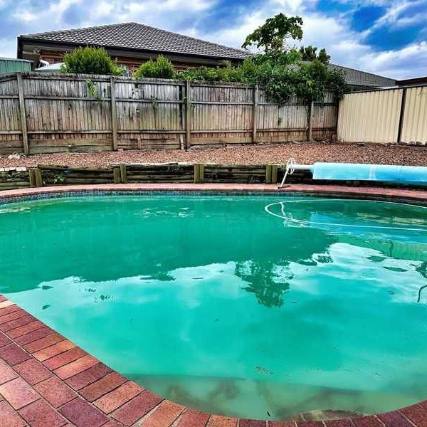 Spacious 3-Bedroom Home with Pool in Sunnybank Hills â Ideal Location & Comfort! - Photo 1