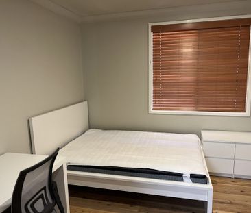 Rooms / 179 Marsden Street, Shortland NSW 2307 - Photo 5