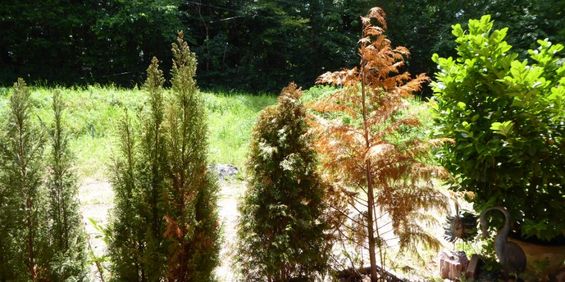 Appartement 3 pièces à Lemberg - Photo 3