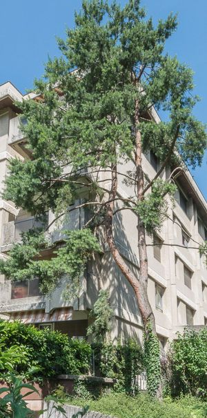 Confort et espace pour toute la famille - Foto 2