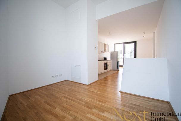 Erstklassige 2-Zimmer-Maisonettewohnung inkl. Dachterrasse in Linzer Bestlage an der Promenade zu vermieten! - Photo 1