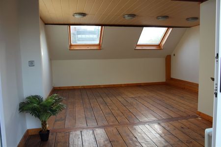 Duplex dakappartement op 't Eilandje - Foto 4