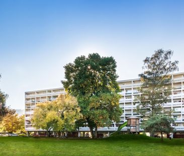 Great single apartment! - Foto 3