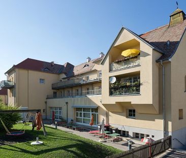 EGGENBURG XI - Photo 6