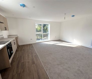 Evergreen, Albany House, Albany Street, Ilkeston, Derbyshire, DE7 - Photo 6