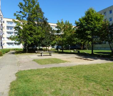 Herrlicher Ausblick in Richtung Wald - sanierte Wohnung - Foto 4