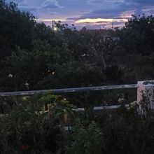 Μονοκατοικία για ενοικίαση - Αίγινα, - Φωτογραφία 1