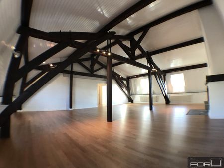 Superb atypical penthouse in the Vieux-Carouge - Photo 3