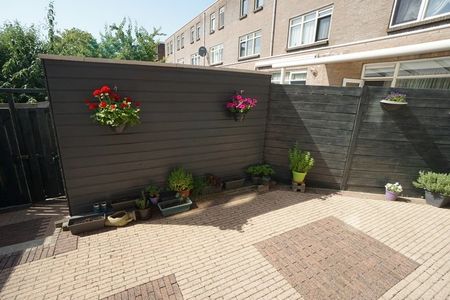 Te huur: Huis Stephensonstraat in Schiedam - Photo 5