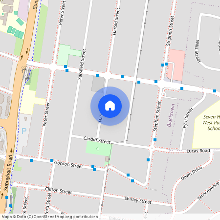 15 Harold Street, NSW 2148, Blacktown