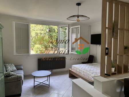 Location Appartement 1 pièce 35m² ROUSSILLON 38150 - Photo 2
