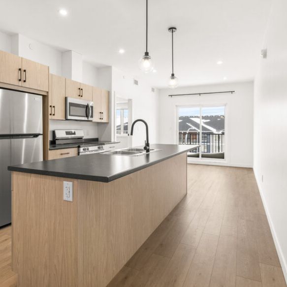 Pine: Grey Cabinets – 225 Peguis, Winnipeg, MB - Photo 1