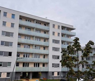 Białystok, Bema, Depowa Mieszkanie na wynajem - Zdjęcie 4