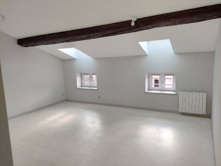 Location appartement 2 pièces 47.25 m² à Mâcon (71000) CENTRE VILLE - Photo 3