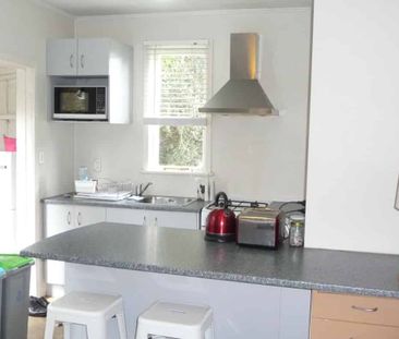 Mt Eden Wairiki road One bedroom - Photo 3