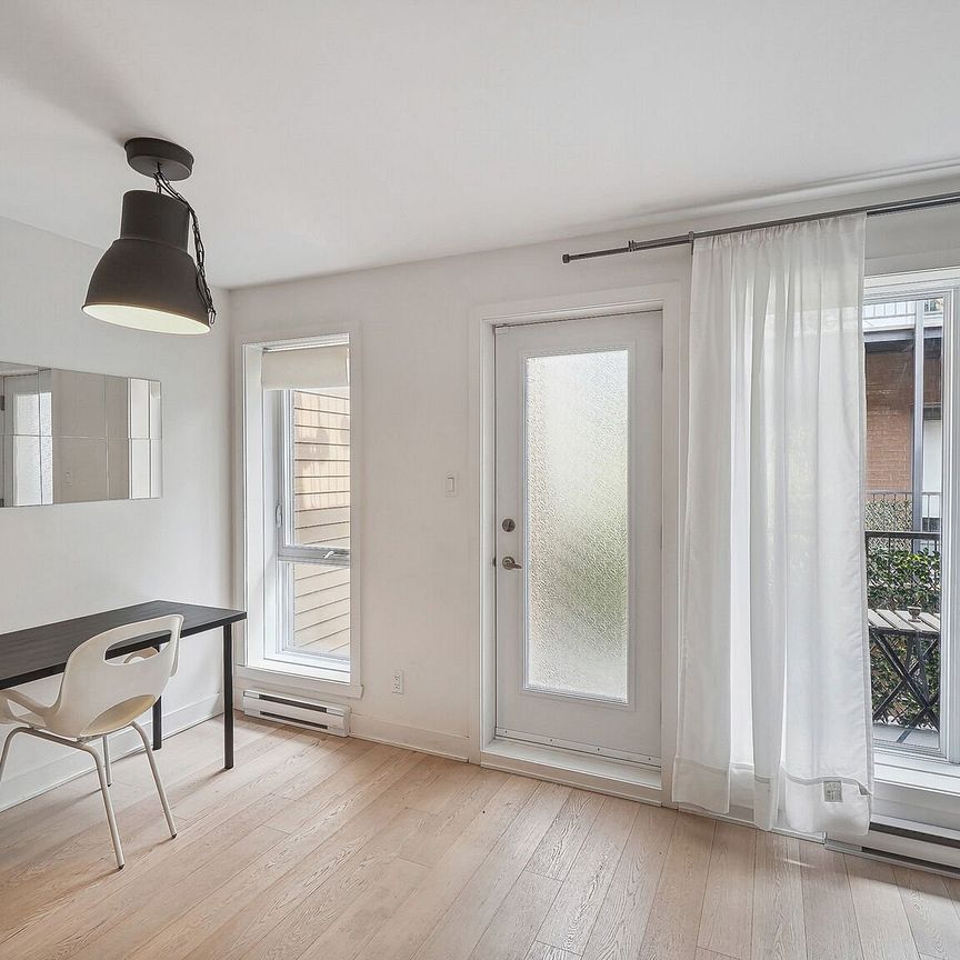 Condo for rent, Montréal (Le Plateau-Mont-Royal) - Photo 1