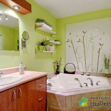 Condo 4 1/2, Hochelaga - Photo 3