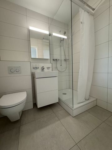 Renovierte 2.5-Zimmerwohnung im Stadtzentrum Biel/Bienne - Foto 4