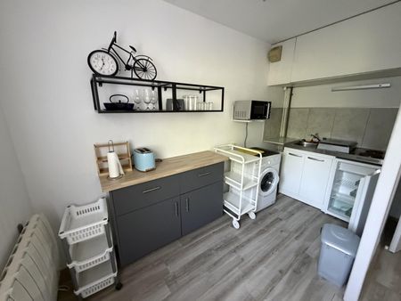 Location / Appartement T1 bis - Photo 5