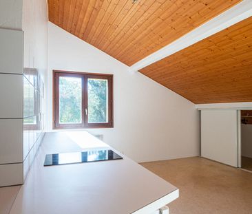 STUDIO 27.89 m² - ANNECY SECTEUR SEYNOD - Photo 5