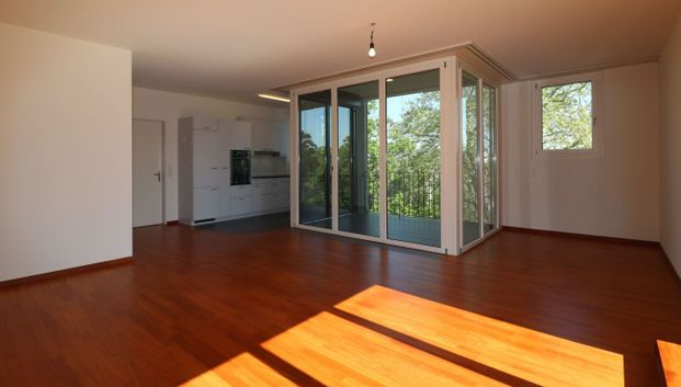 Moderne 3 1/2-Zimmer-Attika-Wohnung mit grossartiger Aussicht - Photo 1