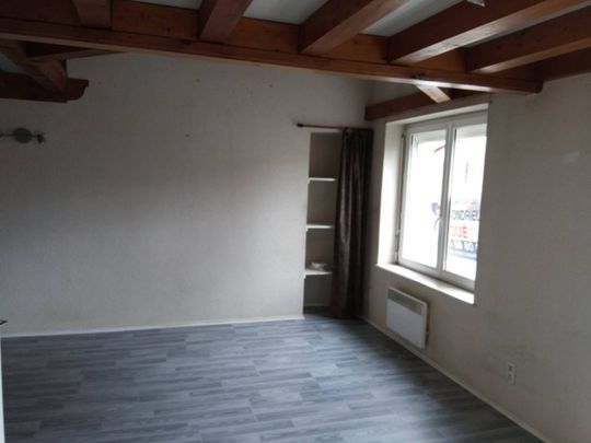 Location appartement 3 pièces 50 m² à Les Roches-de-Condrieu (38370) - Photo 1