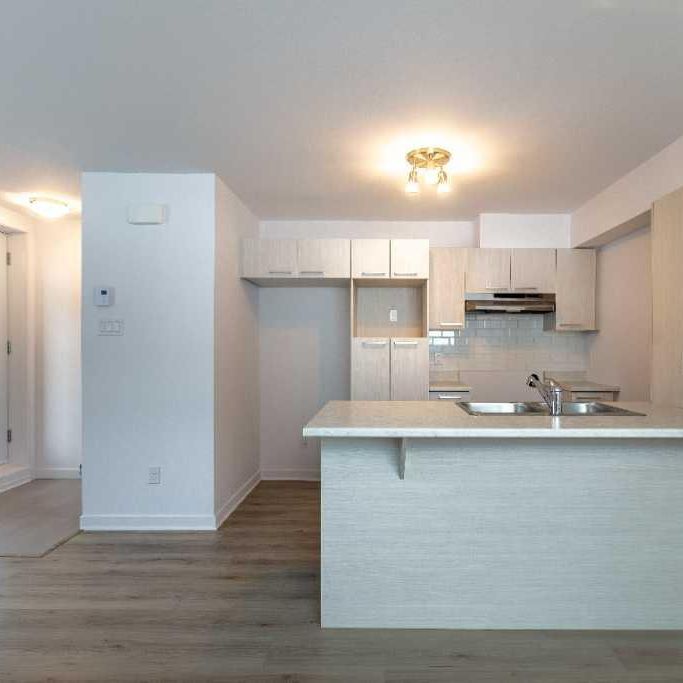 Logement 3 1/2 - Avril 2026 - Photo 1