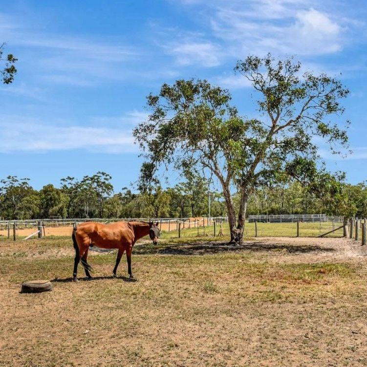 Cessnock - Photo 1