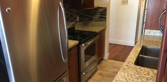 Large Newly renovated 1 bedroom suite for rent Available January 2025 - Photo 2