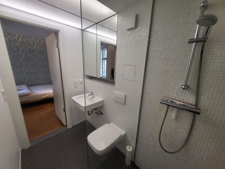 Kreuzberg: voll möbliertes LUXUS Apartment, 26 m² befristet für max. 12 Monate - SOFORT zu VERMIETEN - Photo 5