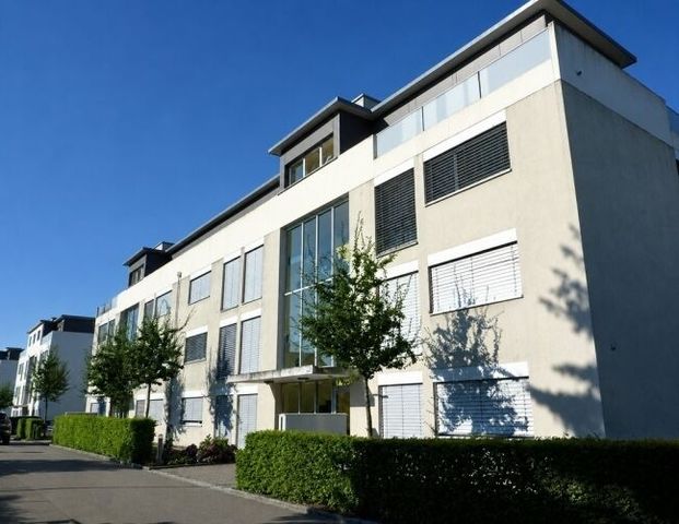 Charming apartment in a quiet location in Lupfig - Foto 1